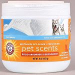 best air deodorizer for pets