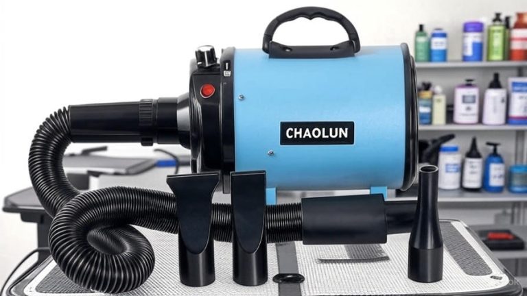 Best At Home Dog Blow Dryers
