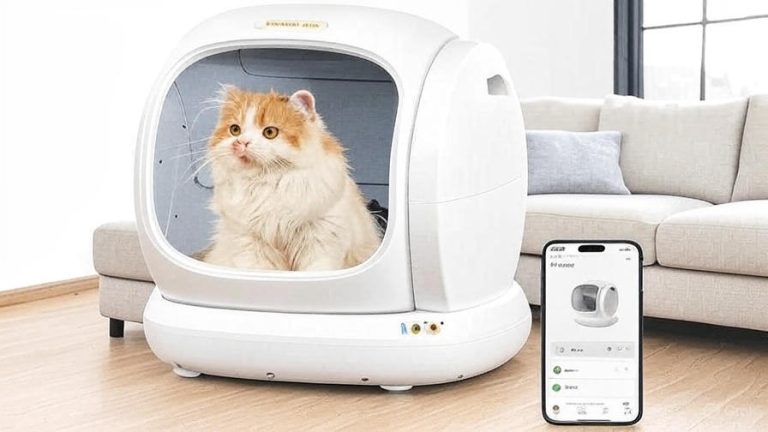 Best Automatic Litter Box for Older Cats