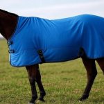 How to Measure for a Horse Turnout Blanket?