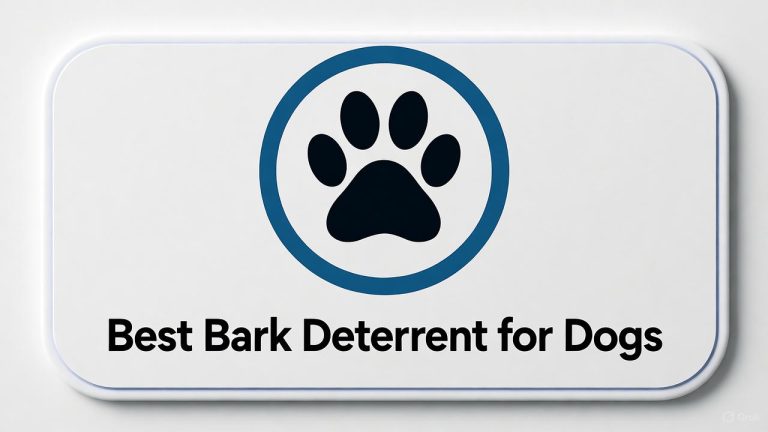 Best Bark Deterrent for Dogs