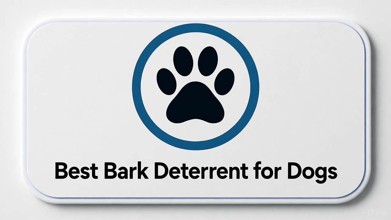 Best Bark Deterrent for Dogs