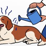 How to Cool an Overheated Dog?
