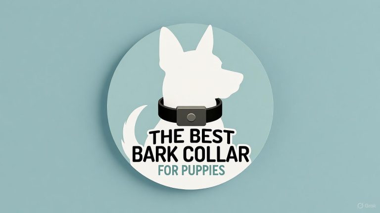 best bark collar for puppies