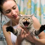 How to Bathe an Aggressive Cat