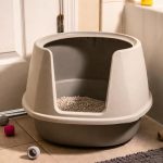 Best Litter Box for Vertical Peeing Cats