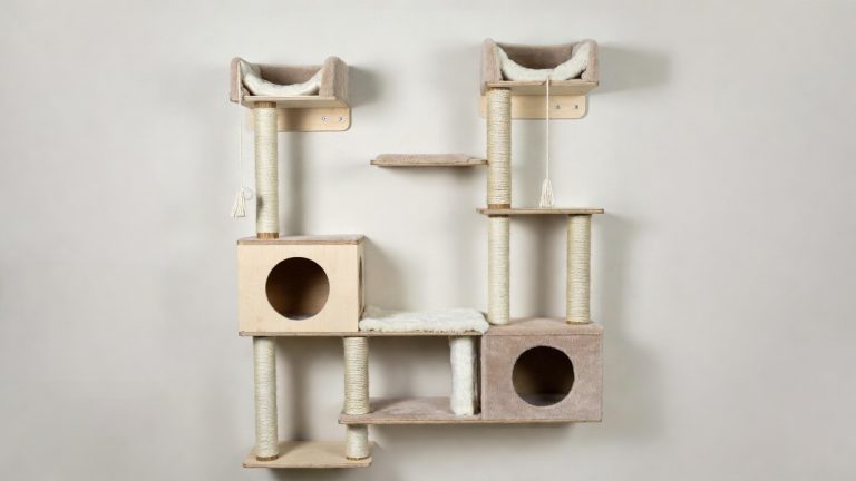 Best Cat Wall Furniture