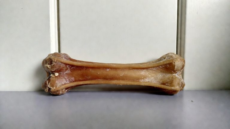Best Chew Bone For Dogs