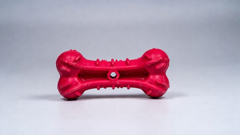 5 Best Chew Toy for Dog
