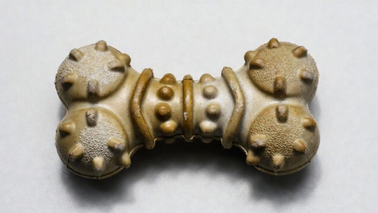 Best Chew Toy for Teething Puppy