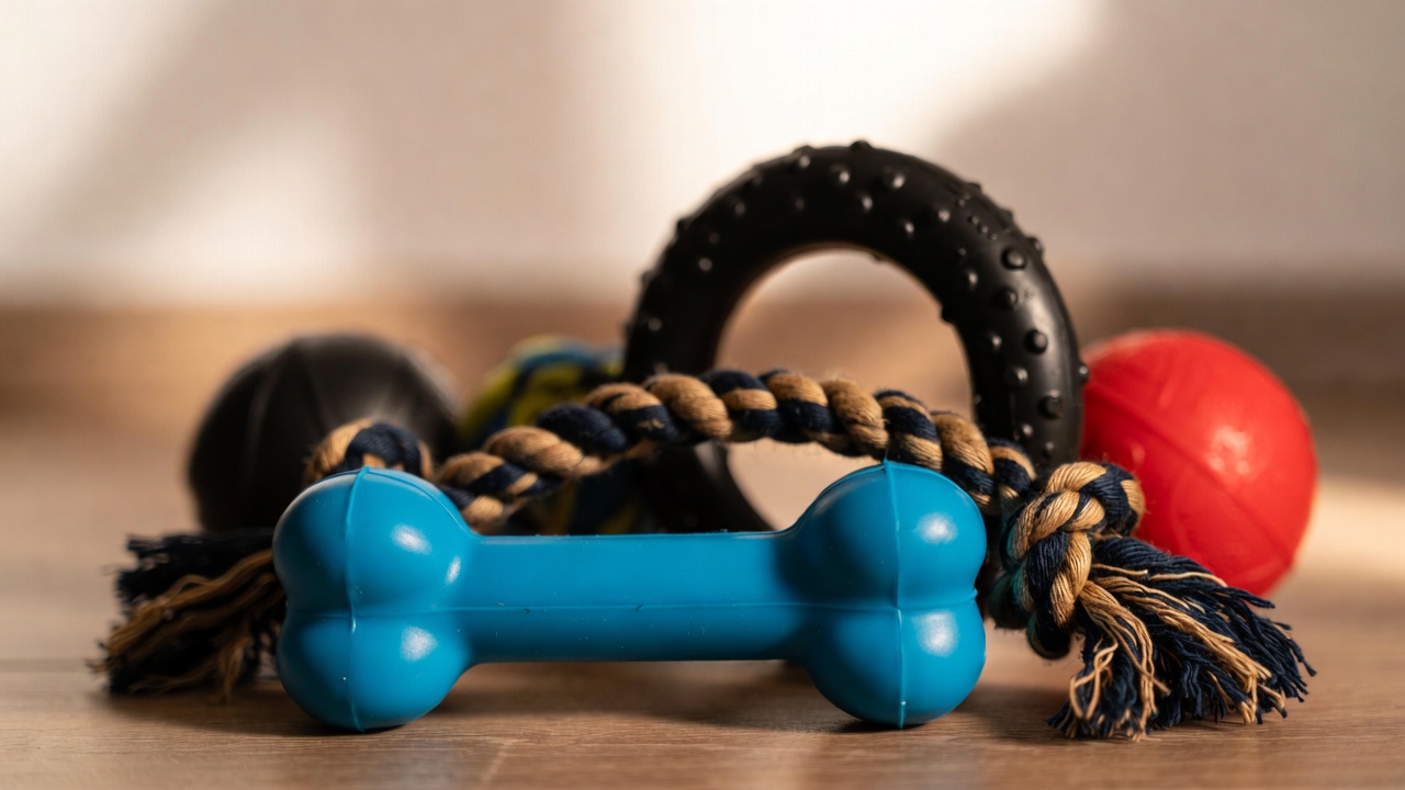 Best Chew Toys for Big Dogs
