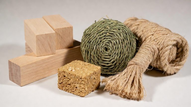 Best Chew Toys for Rabbits