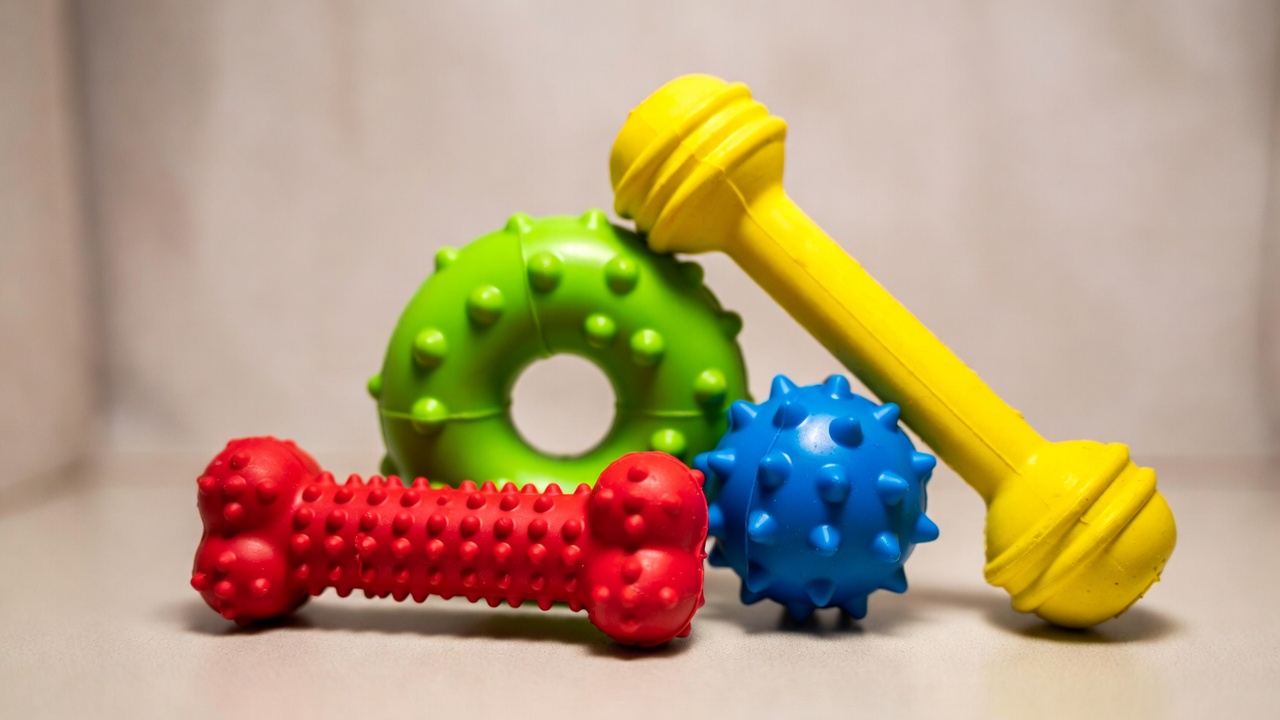 Best Chew Toys for Small Dogs