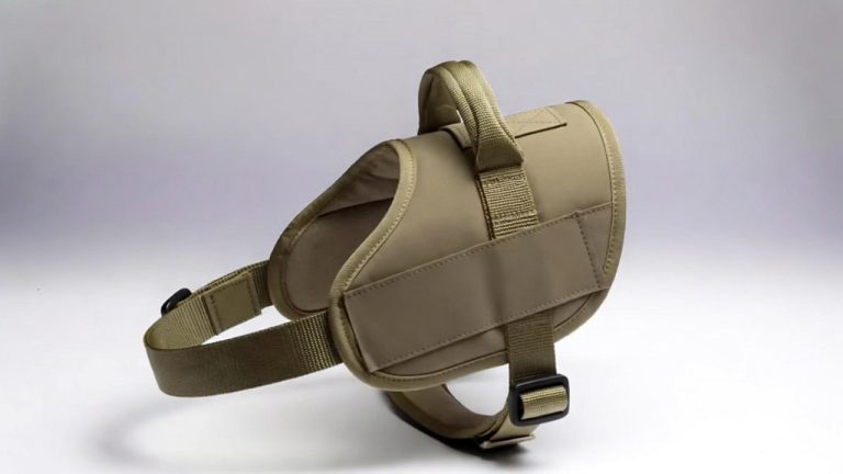 Best Harness for Aggressive Dogs