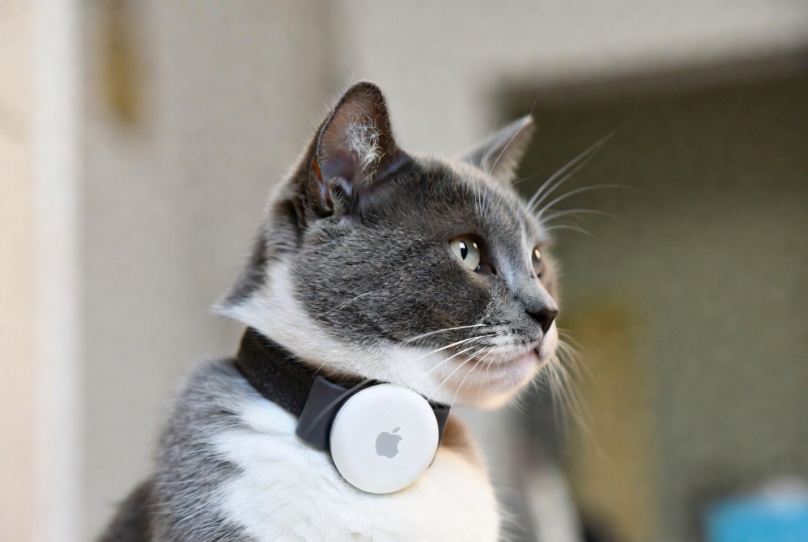 Best AirTag Cat Collar