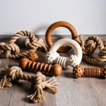 Best Chew Toys for Large Dogs
