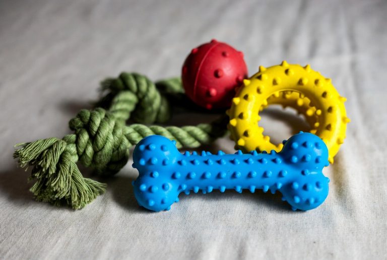 Best Chew Toys for Puppies Teething