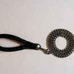 Best Dog Leash for Large Dogs