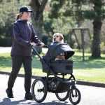 Best Dog Stroller for Jogging