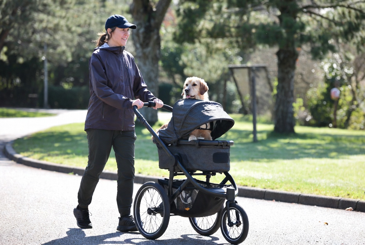 Best Dog Stroller for Jogging