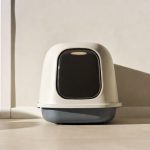 Best Litter Box for Apartment