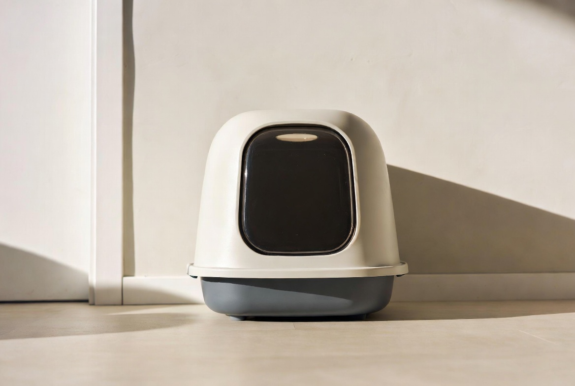 Best Litter Box for Apartment