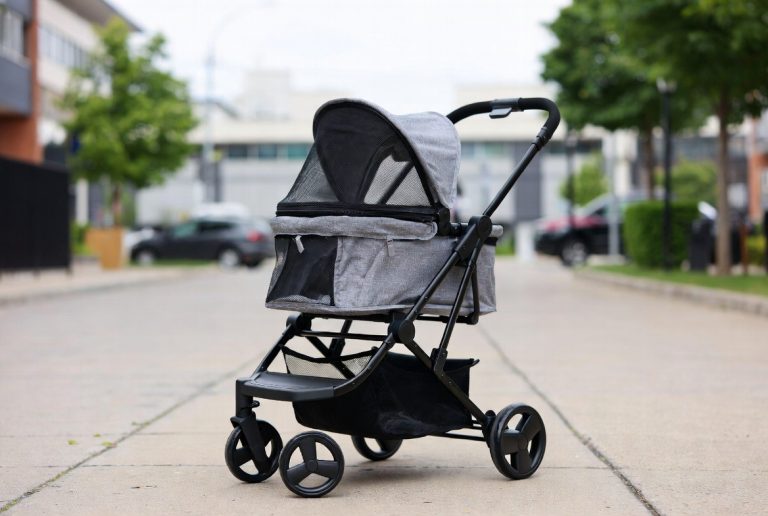 Best Pet Stroller for Cats