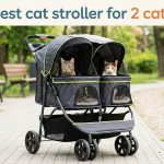 Best Cat Stroller for 2 Cats
