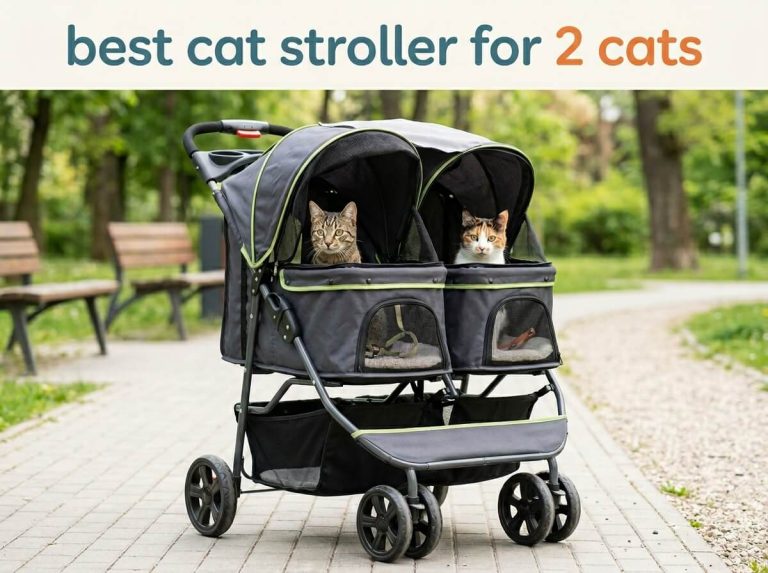 Best Cat Stroller for 2 Cats