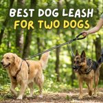 Best Dog Leash for Two Dogs