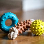 best chew toys for lab puppies