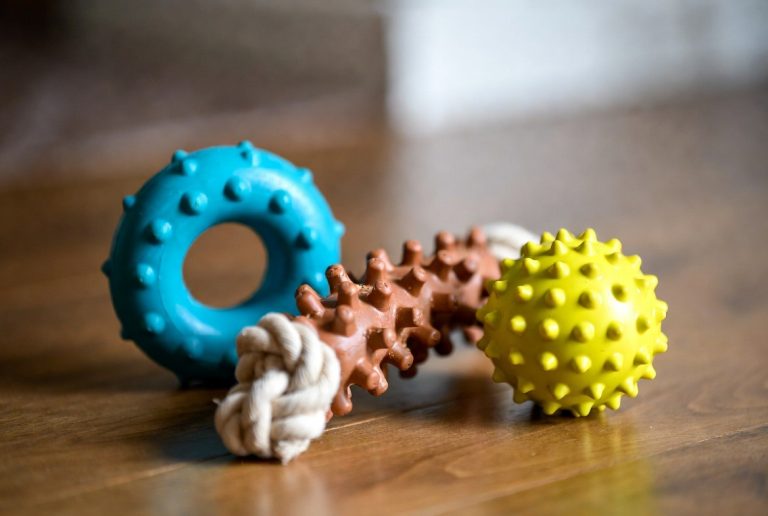 best chew toys for lab puppies