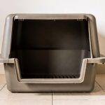 best litter box for big cats