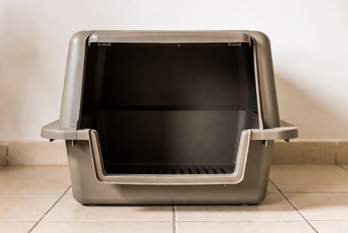 best litter box for big cats