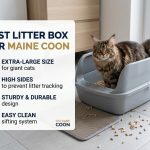 Best Litter Box for Maine Coon
