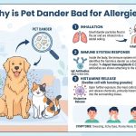 how to reduce humidity in room naturally