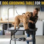 Best Dog Grooming Table for Home